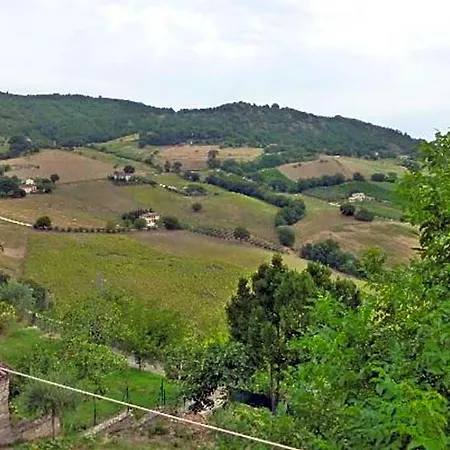 Bed & Breakfast Il Colle