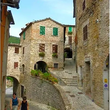 Il Colle