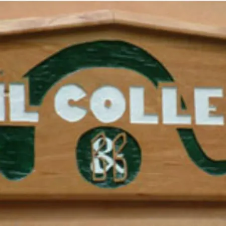 住宿加早餐酒店 Il Colle